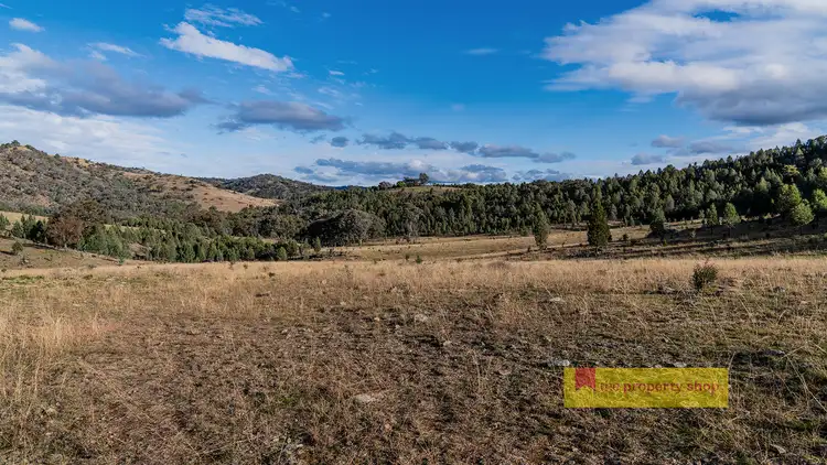 Fifth view of Homely rural property listing, 2/1324 Yarrabin Road, Mudgee NSW 2850