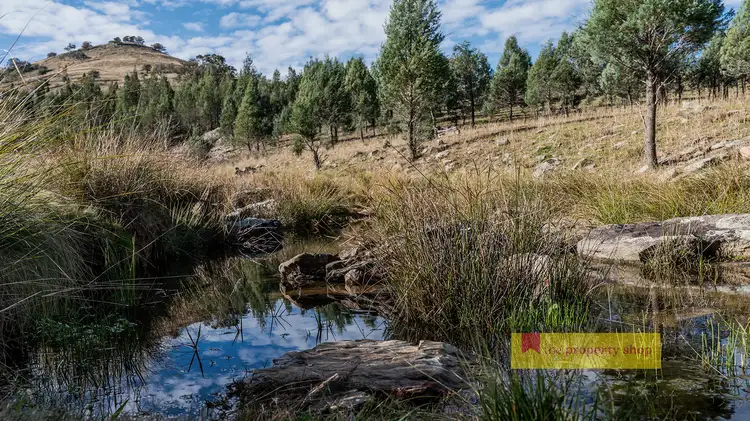 Sixth view of Homely rural property listing, 2/1324 Yarrabin Road, Mudgee NSW 2850