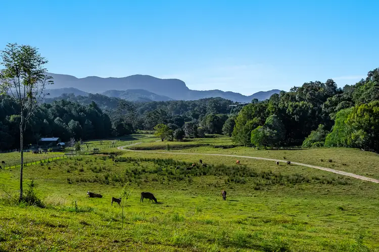 335 Chilcotts Road, Chillingham NSW 2484