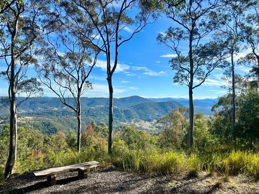 Main view of Homely rural property listing, 659 Moonabung Road, Vacy NSW 2421