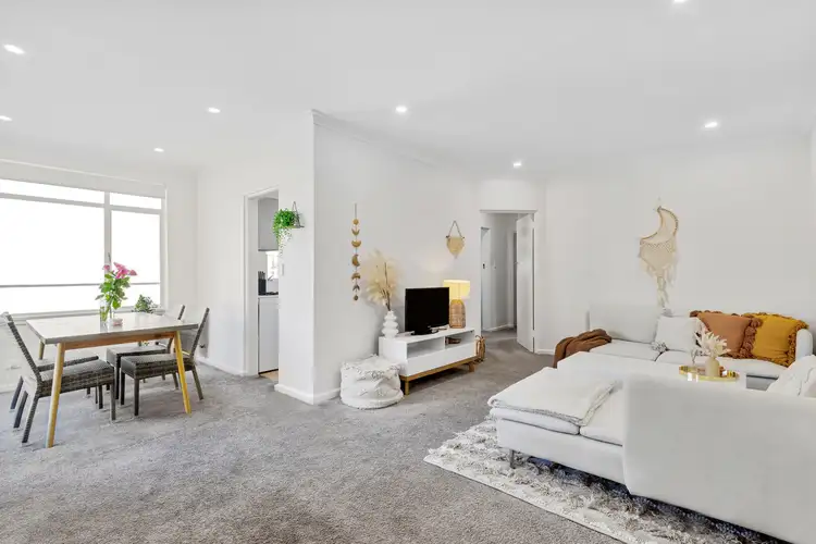 8/36 Waverley Street, Bondi Junction NSW 2022