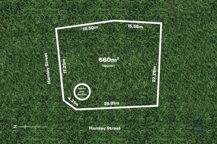 16 Hamley Street, Morphettville SA 5043