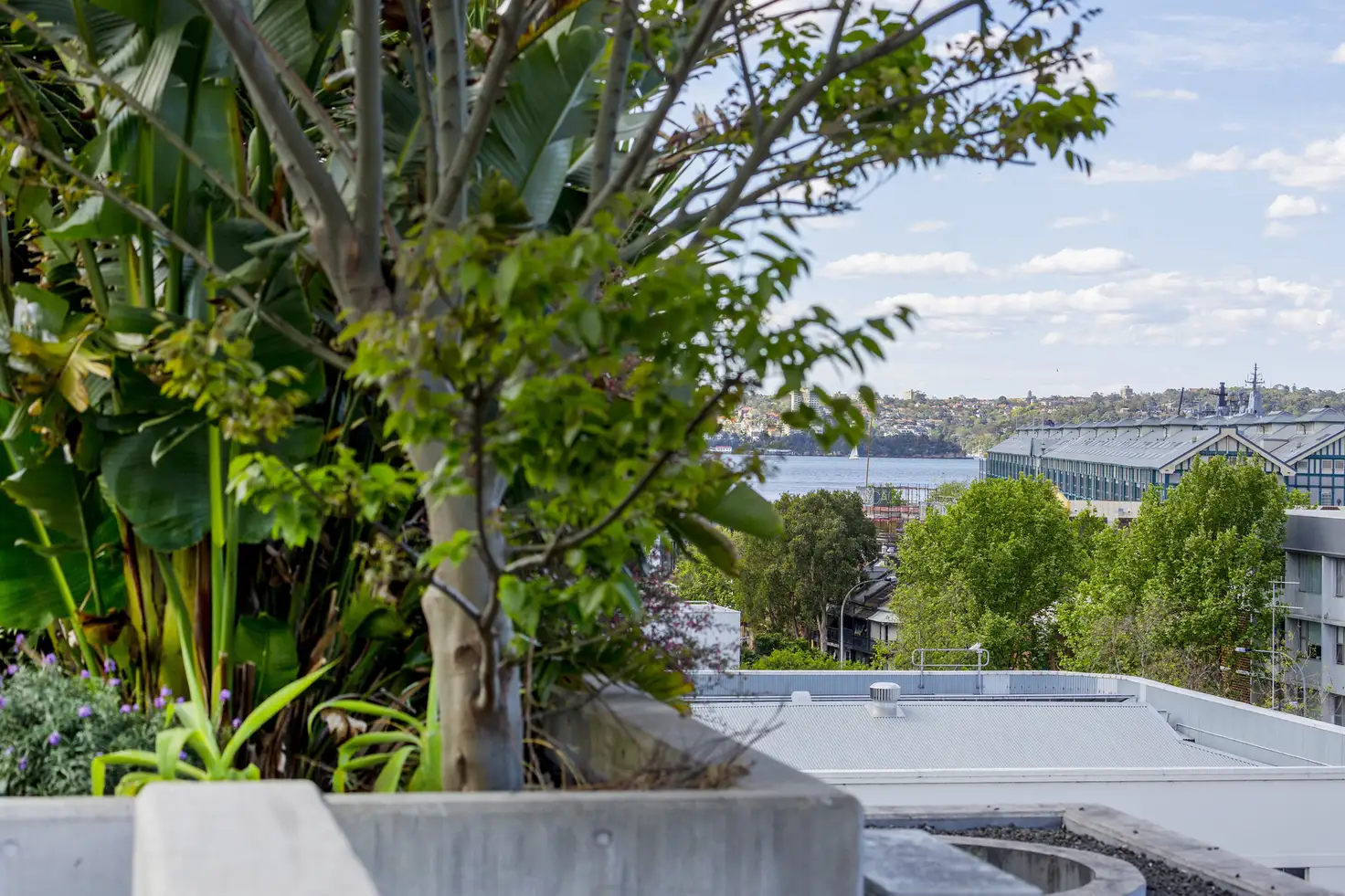Main view of Homely apartment listing, 31/85 Bourke Street, Woolloomooloo NSW 2011