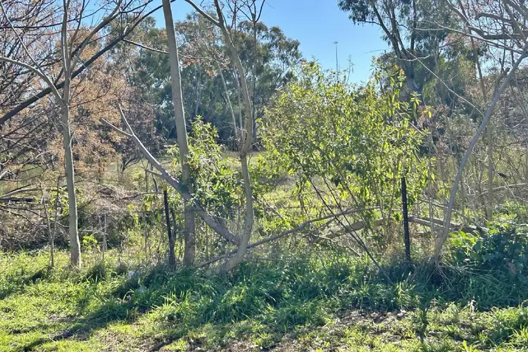 Second view of Homely rural property listing, 6-8 Trangie Road, Narromine NSW 2821