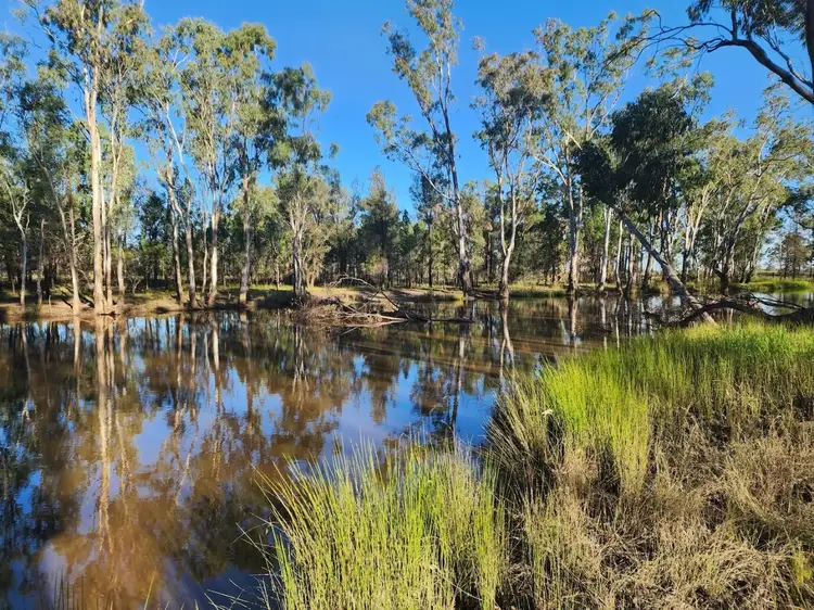 546 Weitzels Road, Tara QLD 4421