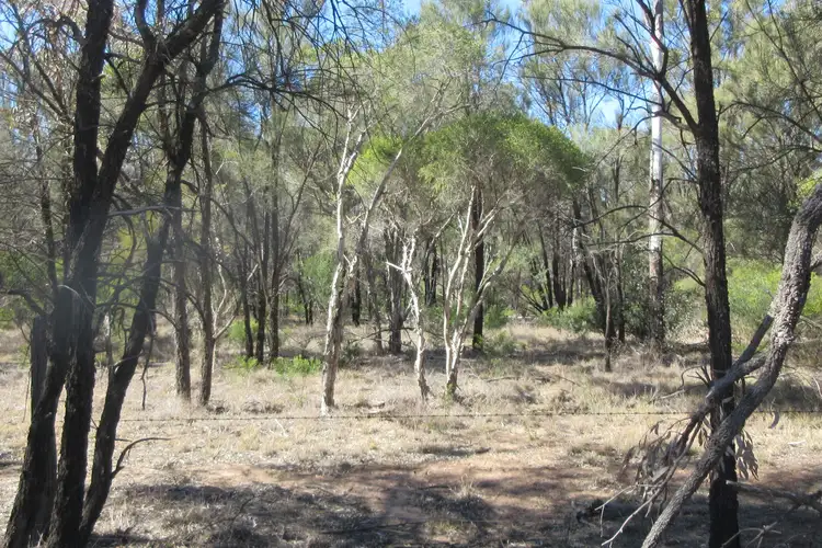 Lot 54 Goranba Lane, Tara QLD 4421