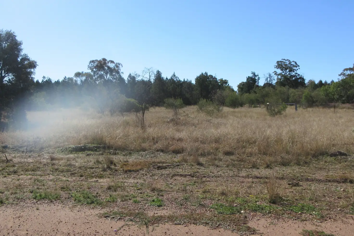 Main view of Homely rural property listing, Lot 37 Gazzards Road, Tara QLD 4421