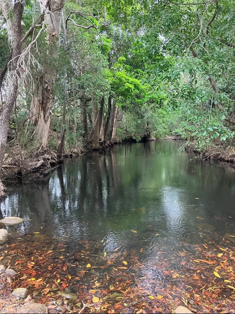 Third view of Homely rural property listing, 108 Paskins Road, Yalboroo QLD 4741
