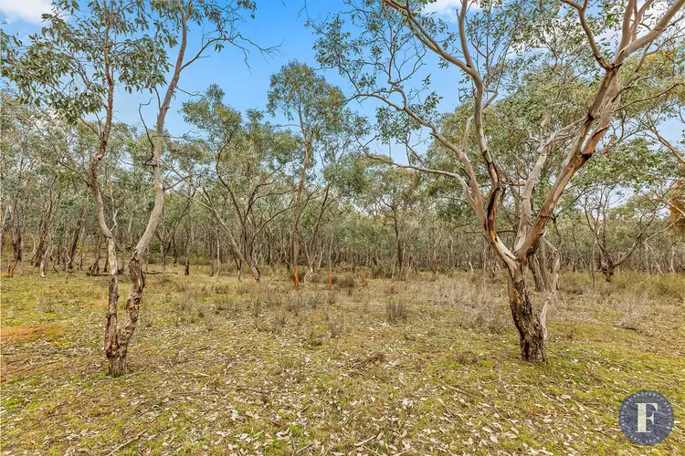 Second view of Homely rural property listing, 29 Caringa Road Road, Godfreys Creek NSW 2586