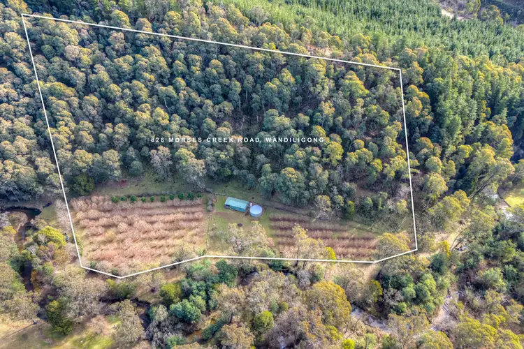 828 Morses Creek Road, Wandiligong VIC 3744