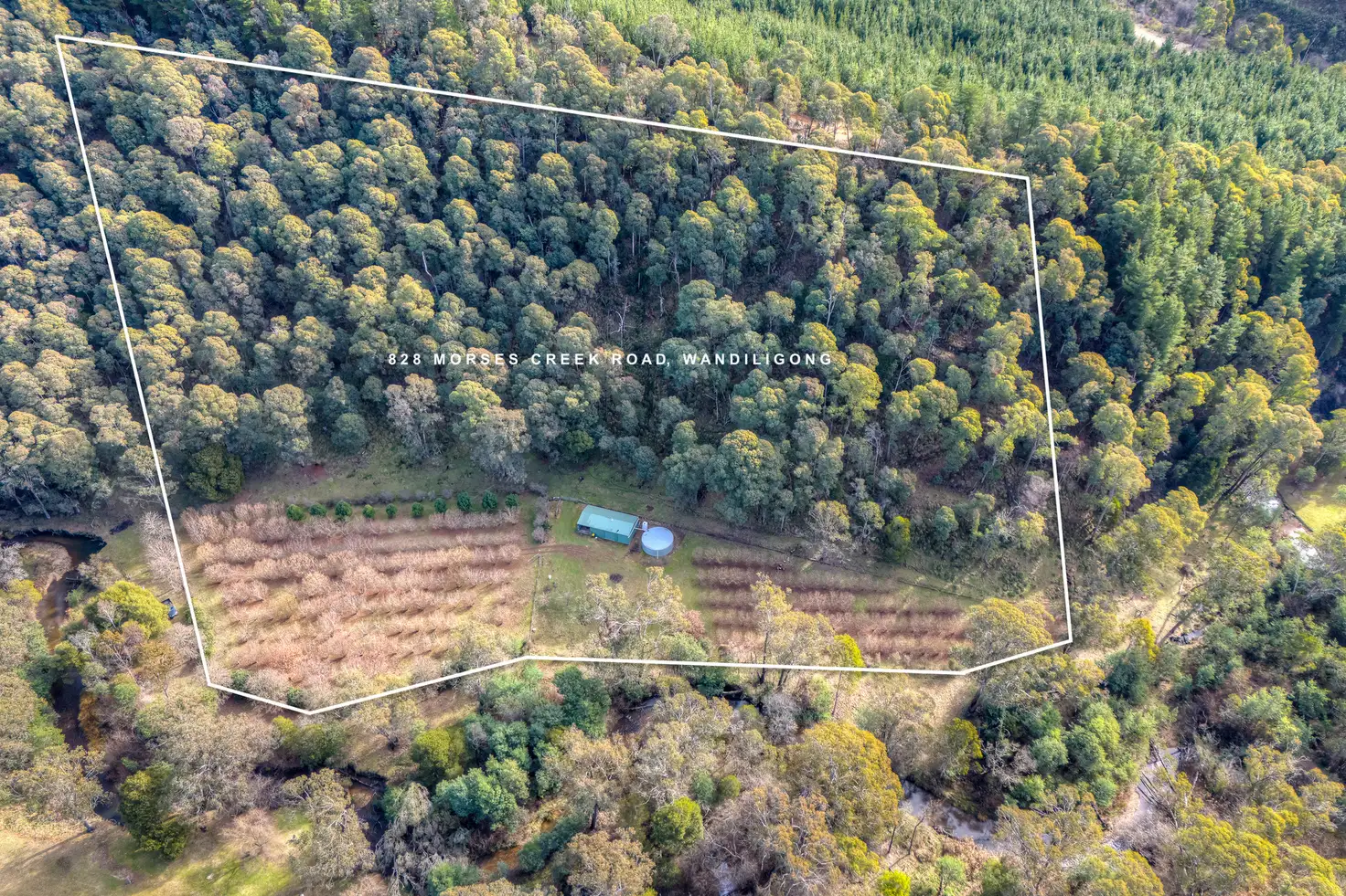 Main view of Homely land listing, 828 Morses Creek Road, Wandiligong VIC 3744