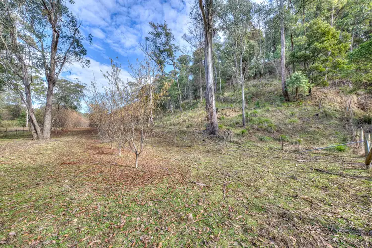 Fifth view of Homely land listing, 828 Morses Creek Road, Wandiligong VIC 3744