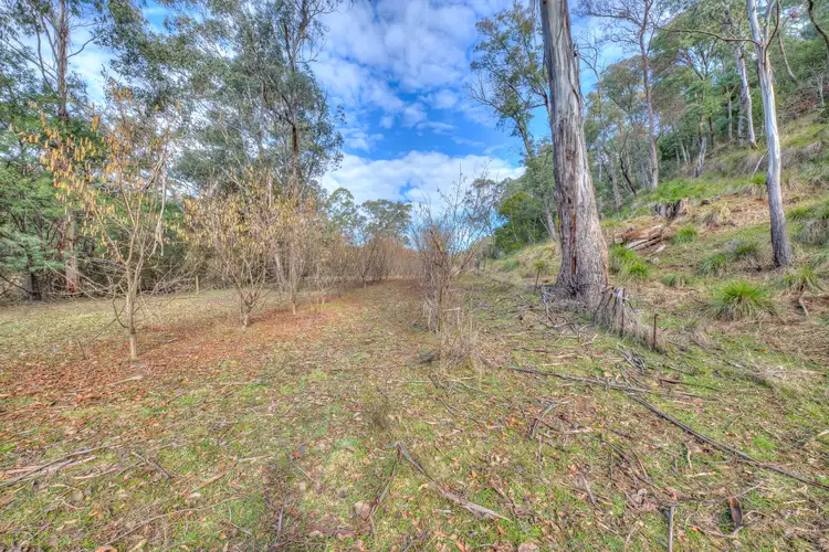 Sixth view of Homely land listing, 828 Morses Creek Road, Wandiligong VIC 3744