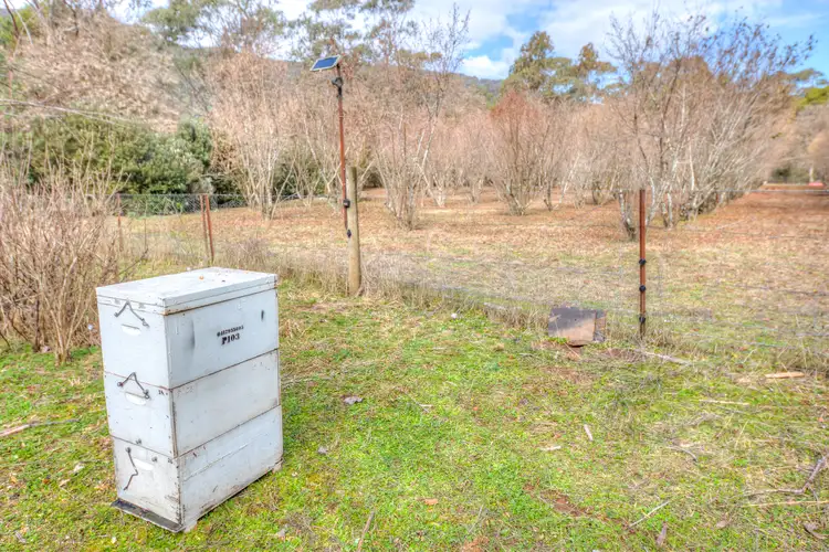 Seventh view of Homely land listing, 828 Morses Creek Road, Wandiligong VIC 3744