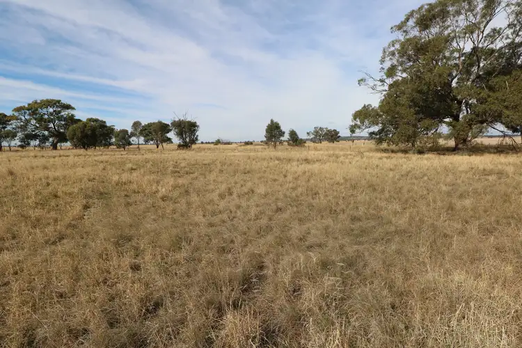 Main view of Homely rural property listing, Charlton - Borung Road, Wychitella VIC 3525