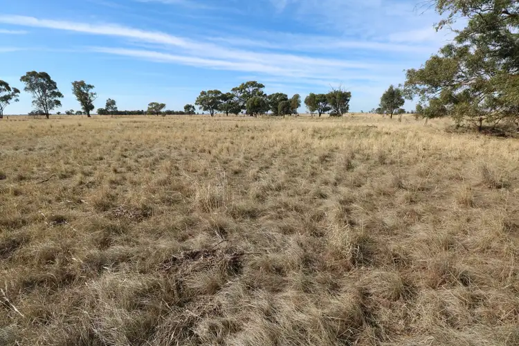 Second view of Homely rural property listing, Charlton - Borung Road, Wychitella VIC 3525