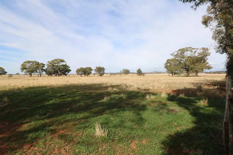 Third view of Homely rural property listing, Charlton - Borung Road, Wychitella VIC 3525