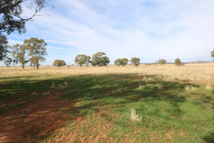 Fourth view of Homely rural property listing, Charlton - Borung Road, Wychitella VIC 3525