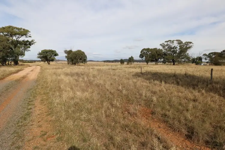 Seventh view of Homely rural property listing, Charlton - Borung Road, Wychitella VIC 3525