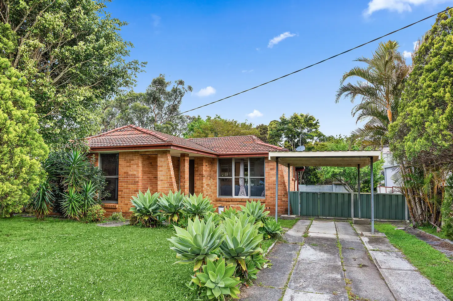 Main view of Homely house listing, 49 O'Donnell Drive, Figtree NSW 2525