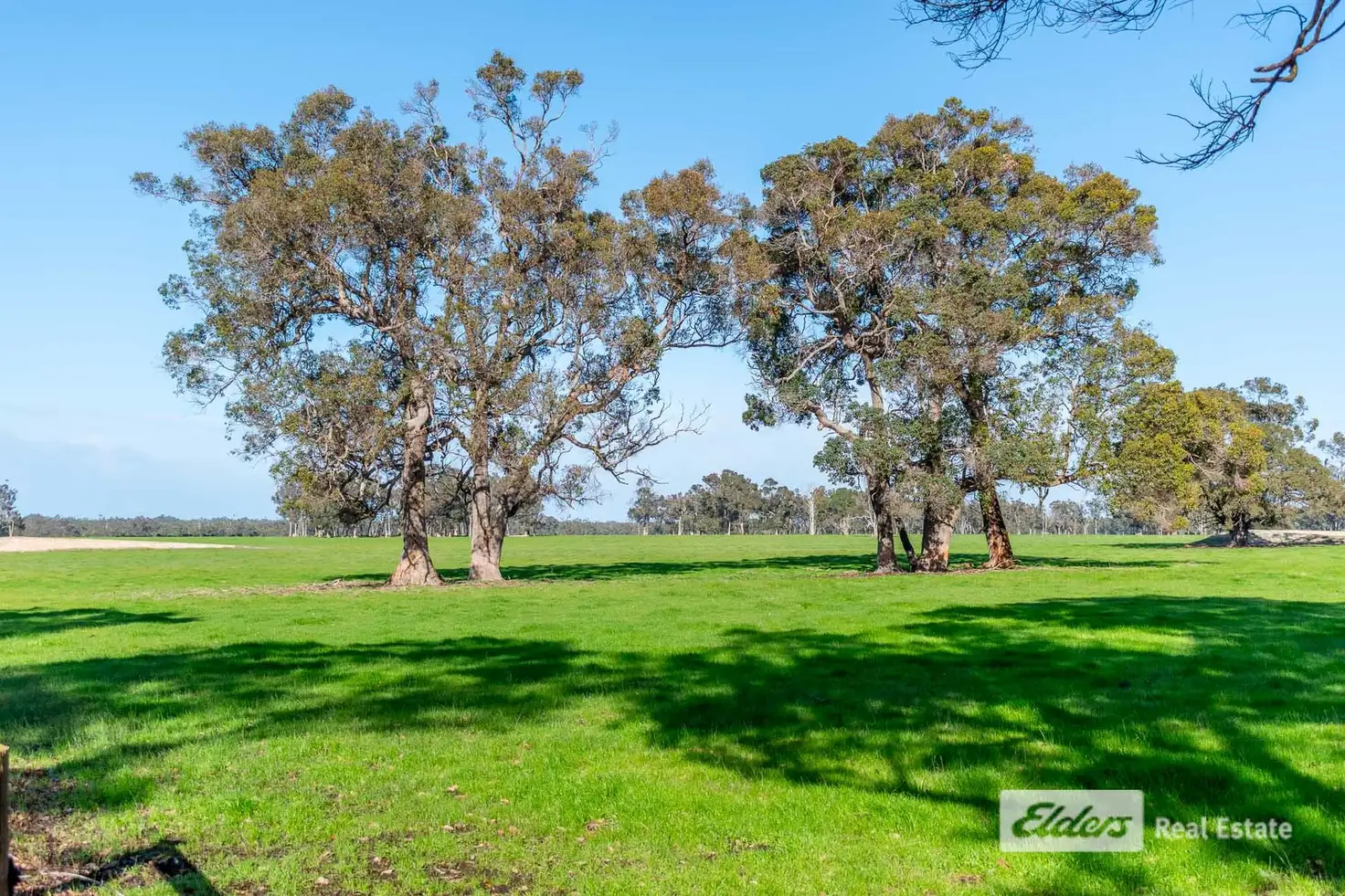Main view of Homely rural property listing, 22 MacLean Close, Mount Barker WA 6324