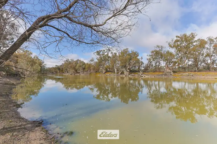 Main view of Homely rural property listing, 4897 Silver City Highway, Wentworth NSW 2648