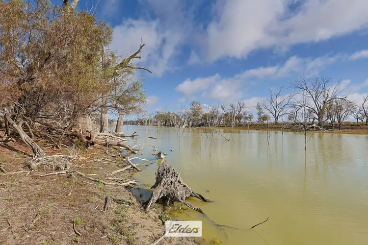Fourth view of Homely rural property listing, 4897 Silver City Highway, Wentworth NSW 2648