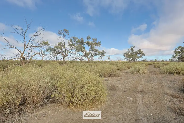 Fifth view of Homely rural property listing, 4897 Silver City Highway, Wentworth NSW 2648