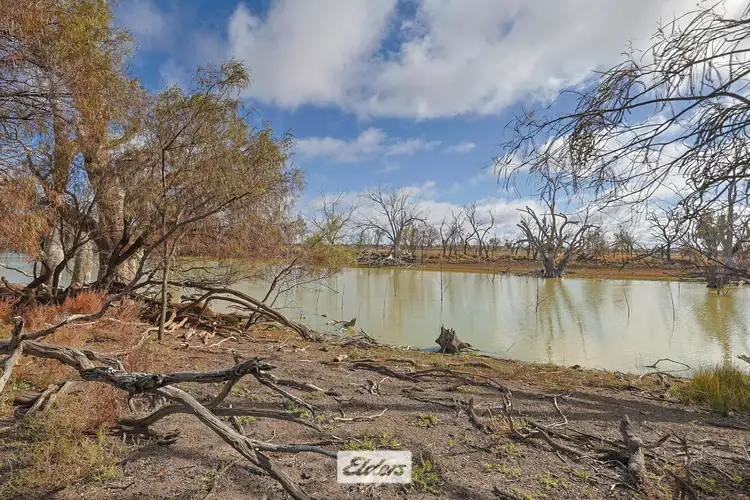 Seventh view of Homely rural property listing, 4897 Silver City Highway, Wentworth NSW 2648