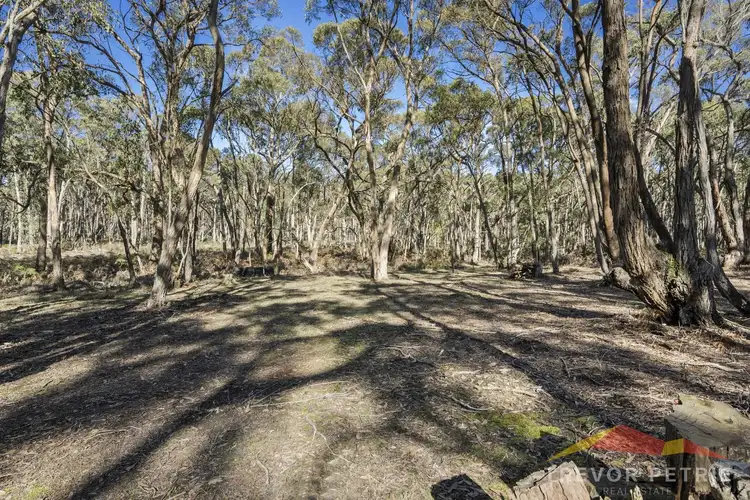 Seventh view of Homely rural property listing, 113 Rowlers Road, Snake Valley VIC 3351
