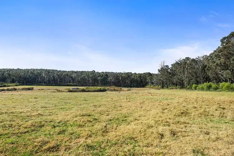Main view of Homely land listing, 37 Forest Road, Wingello NSW 2579