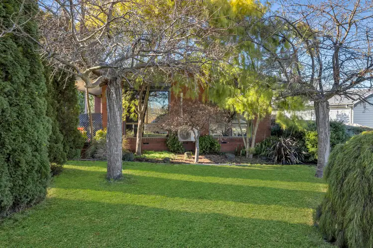 Main view of Homely house listing, 8 Main Neerim Road, Neerim South VIC 3831