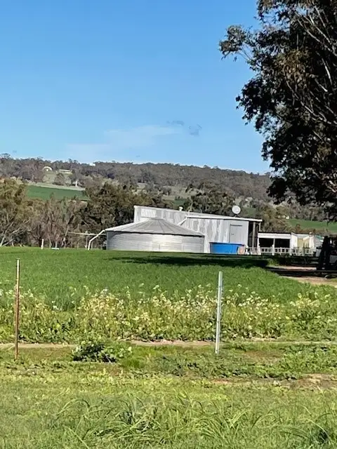 Main view of Homely rural property listing, 447 Qualen West Road, Gwambygine WA 6302