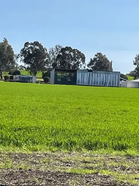 Second view of Homely rural property listing, 447 Qualen West Road, Gwambygine WA 6302