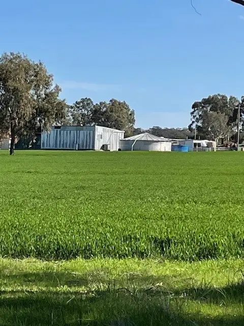 Third view of Homely rural property listing, 447 Qualen West Road, Gwambygine WA 6302