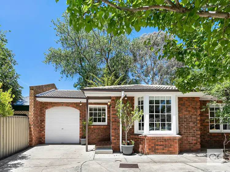 Main view of Homely house listing, 5/16 Myall Avenue, Kensington Gardens SA 5068