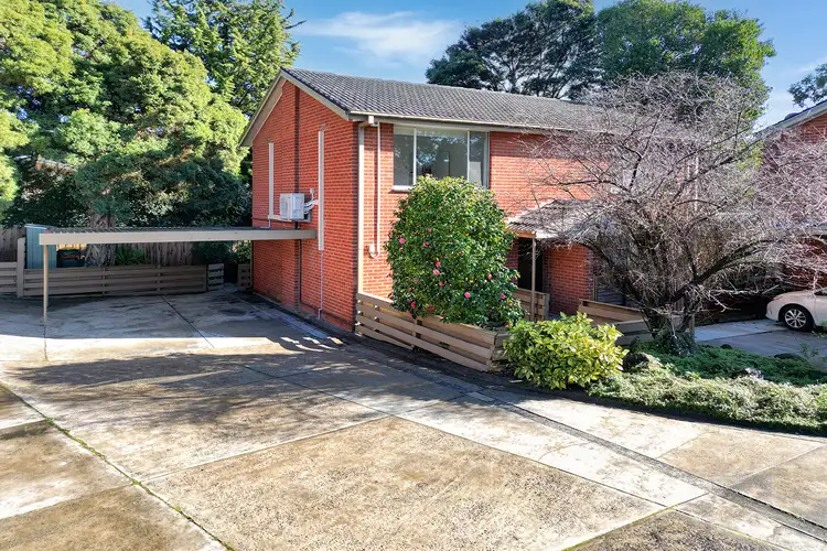 3/374 Springvale Road, Forest Hill VIC 3131
