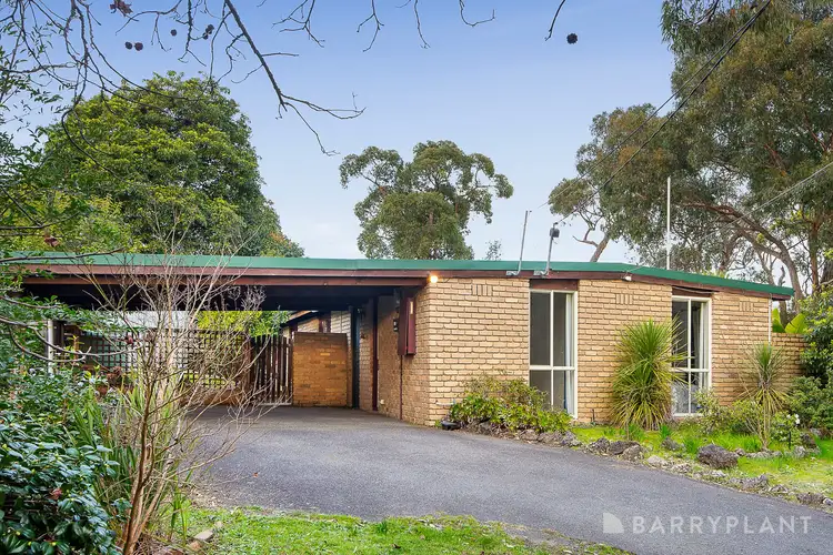 Main view of Homely house listing, 11 Pine Tree Close, Croydon VIC 3136