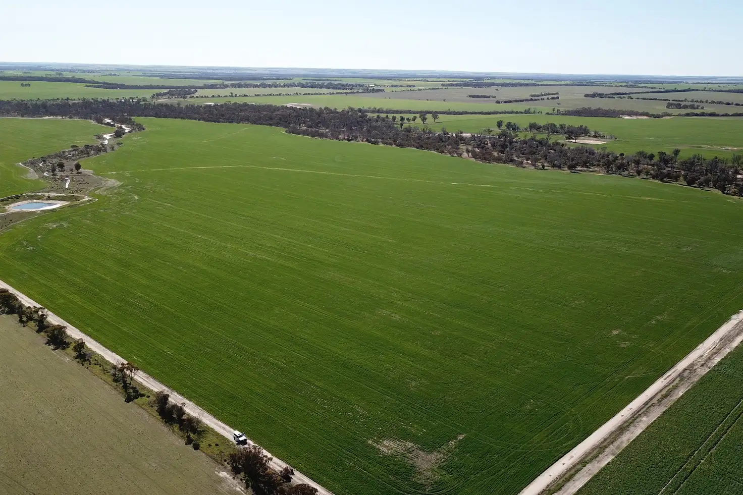 Main view of Homely rural property listing, 6352 Scotchmans Road, Gnowangerup WA 6335