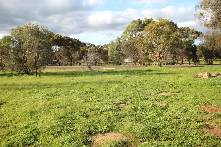 Third view of Homely land listing, 47 Traverse Street, Wagin WA 6315