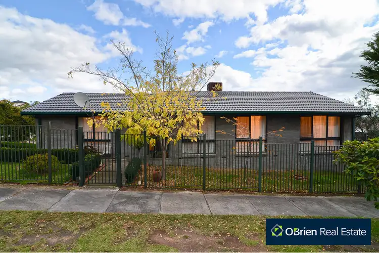 13 Hardman Court, Endeavour Hills VIC 3802