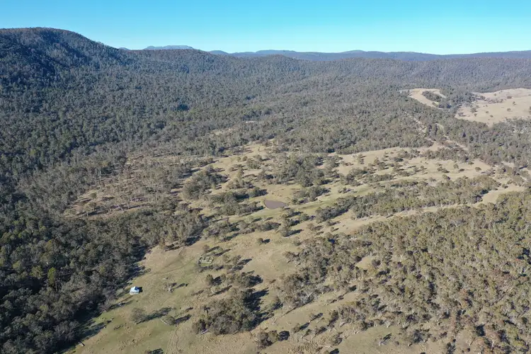 Main view of Homely rural property listing, 2891 Limestone Road, Benambra VIC 3900