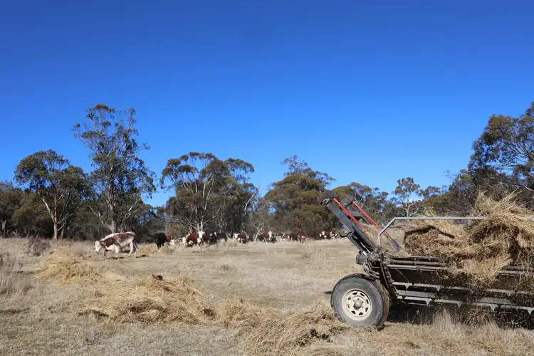 Sixth view of Homely rural property listing, 2891 Limestone Road, Benambra VIC 3900