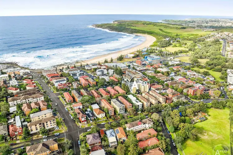 Third view of Homely apartment listing, 1/88-94 Duncan Street, Maroubra NSW 2035