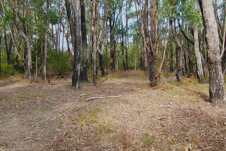Third view of Homely land listing, LOT 6 Cooks Road, Callignee VIC 3844
