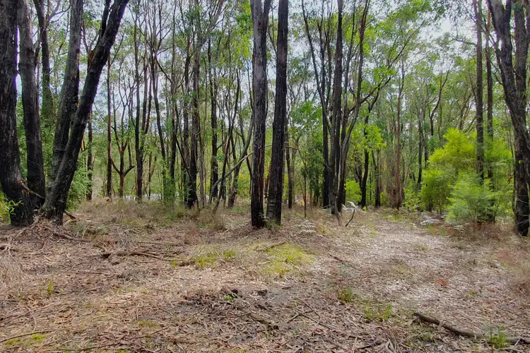 Fourth view of Homely land listing, LOT 6 Cooks Road, Callignee VIC 3844