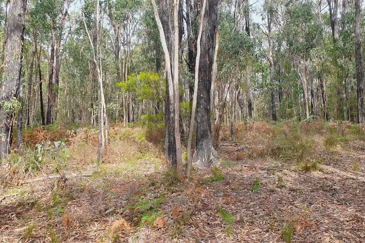 Seventh view of Homely land listing, LOT 6 Cooks Road, Callignee VIC 3844