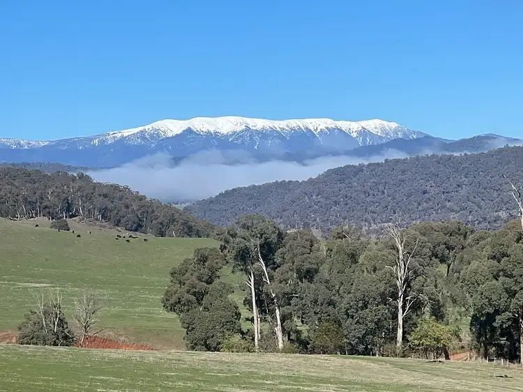 Main view of Homely rural property listing, Bullhead Road, Mitta Mitta VIC 3701