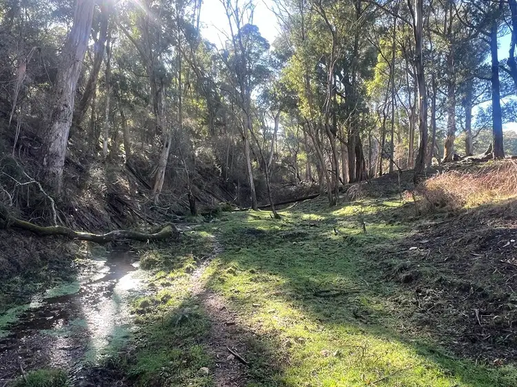 Second view of Homely rural property listing, Bullhead Road, Mitta Mitta VIC 3701