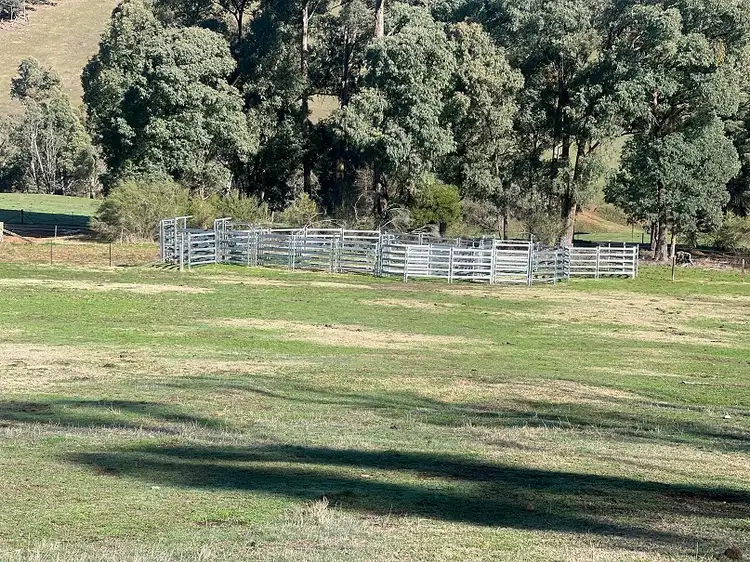 Seventh view of Homely rural property listing, Bullhead Road, Mitta Mitta VIC 3701